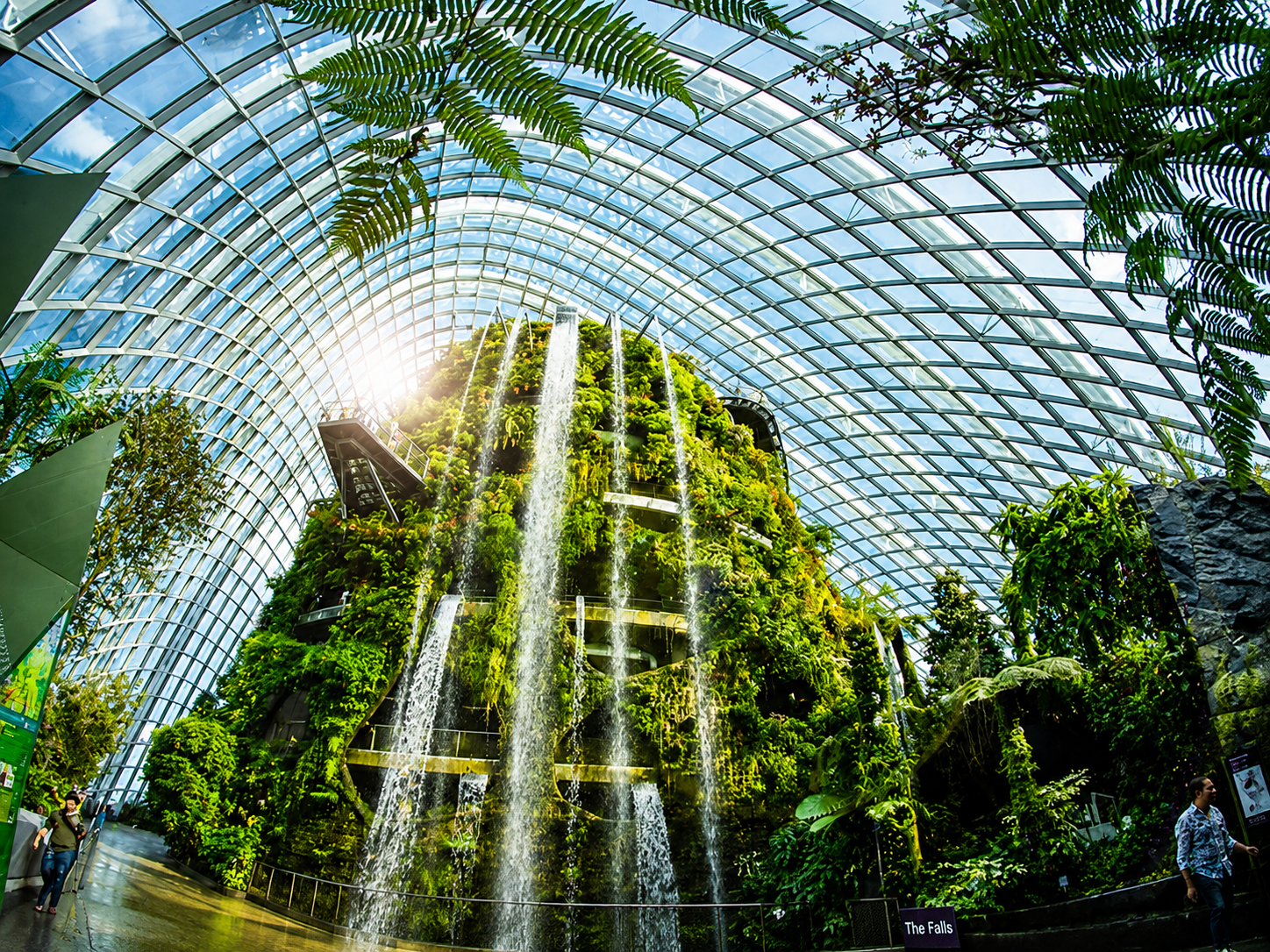 Garden by the bay (cloud forest +Flower dom with Jurassic world) + MBS sky park