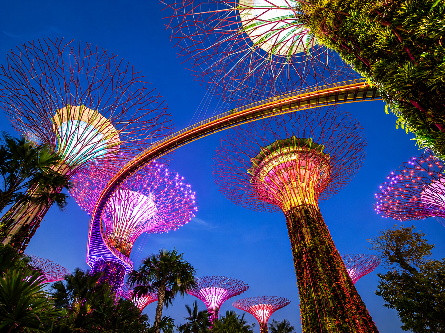 Garden by the bay (cloud forest +Flower dom with Jurassic world) + MBS sky park