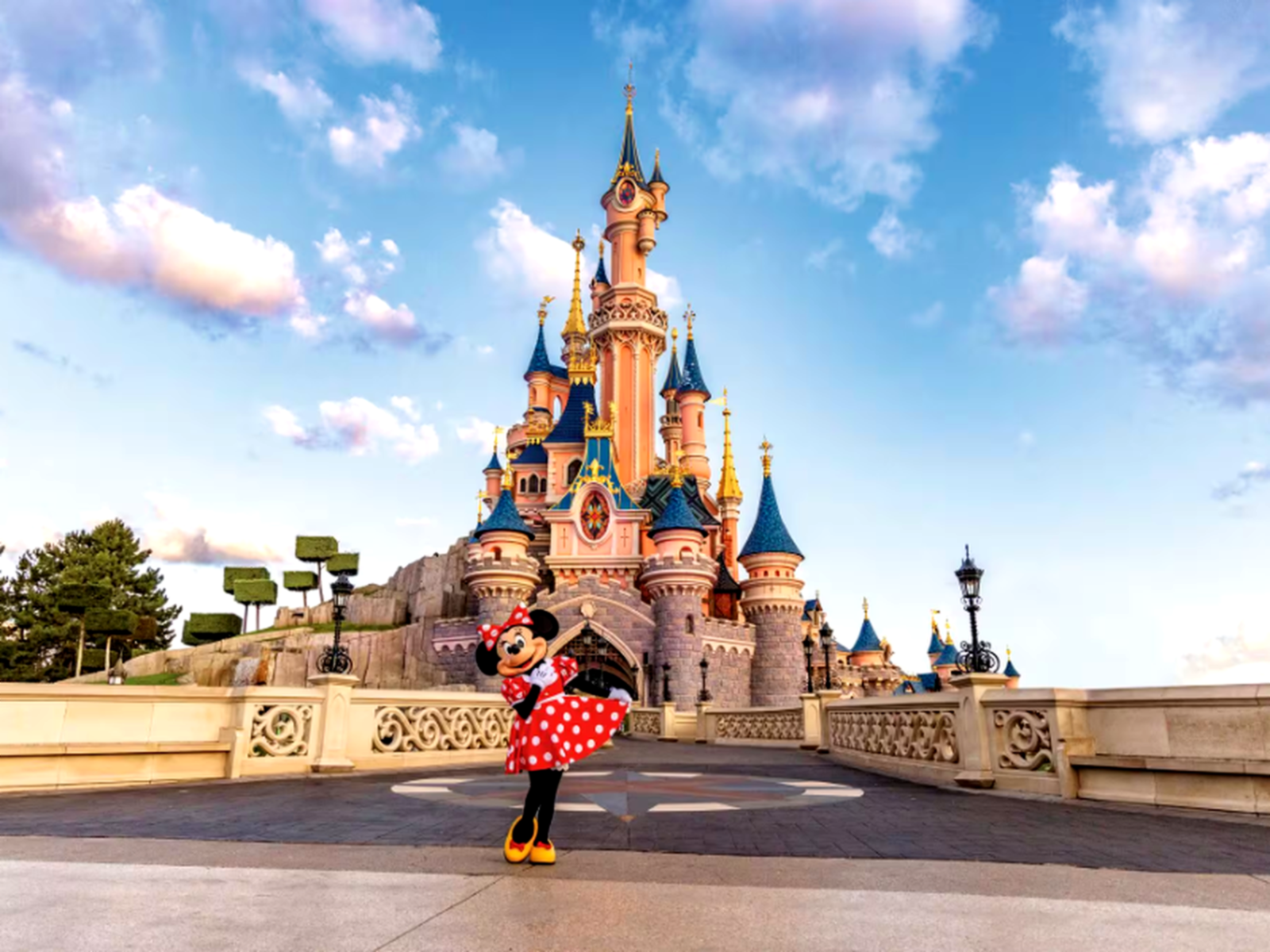 Disney Land Tickets (01 day, 07 Park)