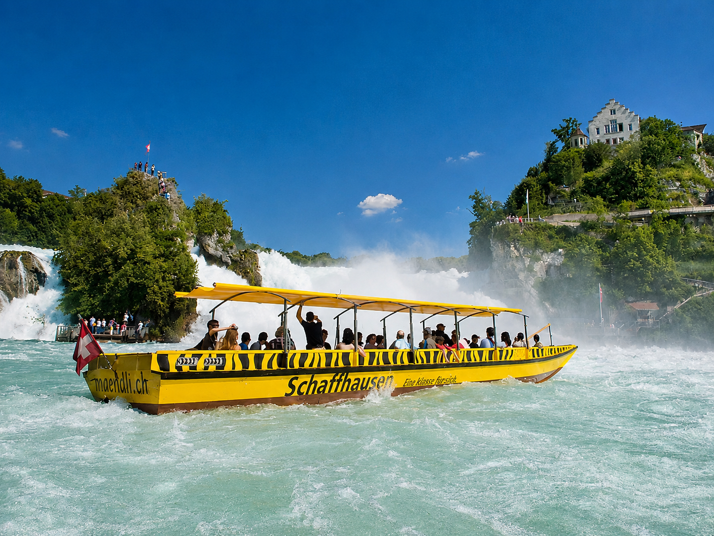 Neuhausen am Rheinfall: 3A Rhine Falls Boat Tour
