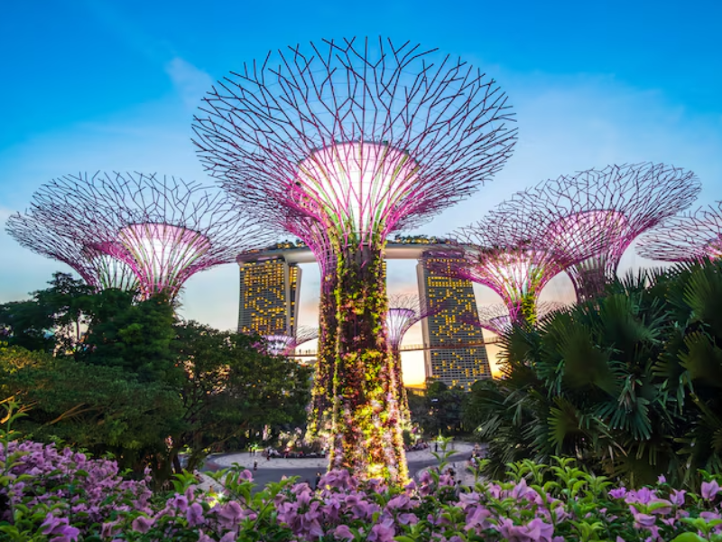 Discover Singapore | The Jewel of Southeast Asia